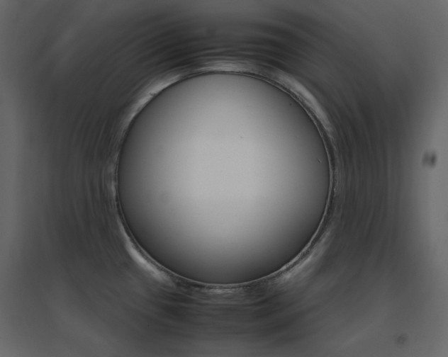 X0000096701433200802051400