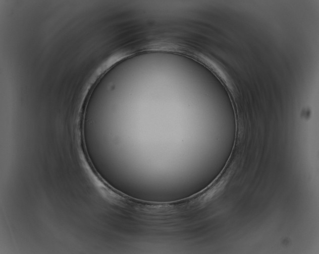 X0000096701434200802051400