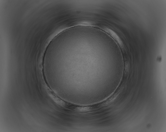 X0000096701435200802051400
