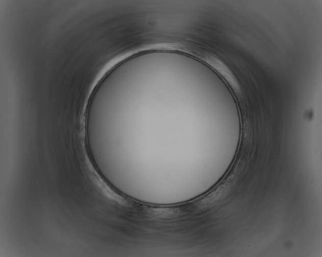 X0000096701436200802051400