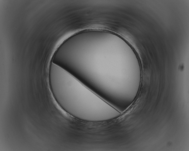 X0000096701437200802051400