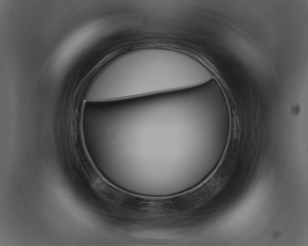 X0000096701438200802051400