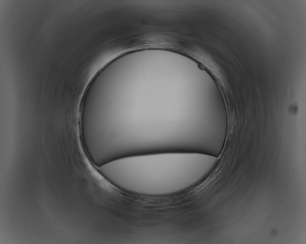 X0000096701439200802051400