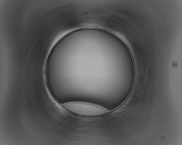 X0000096701440200802051400