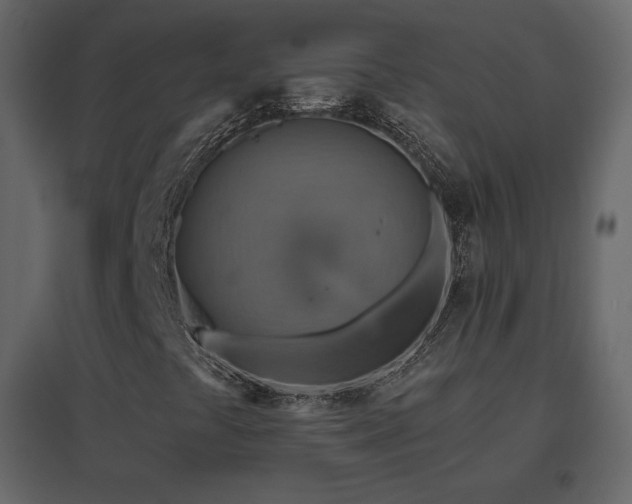 X0000096701441200802051400