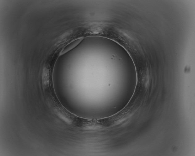 X0000096701442200802051359