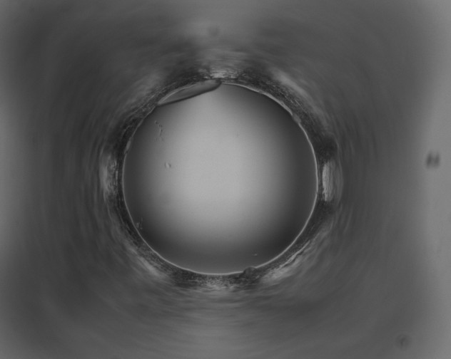X0000096701443200802051359