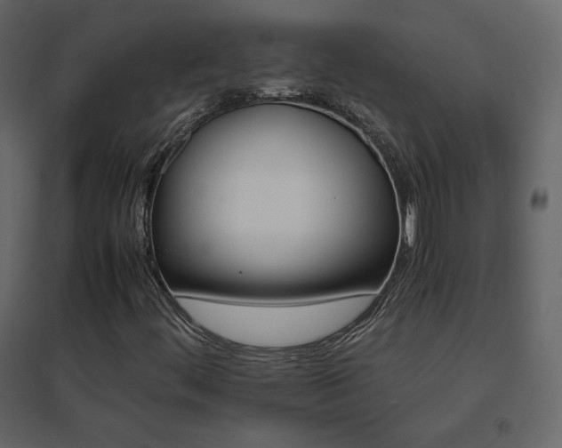 X0000096701444200802051359
