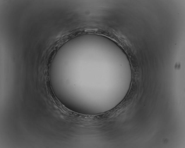 X0000096701445200802051359