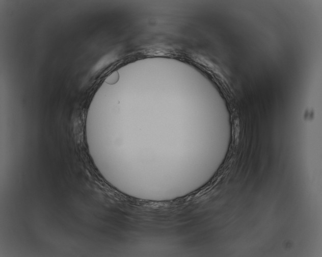 X0000096701446200802051359