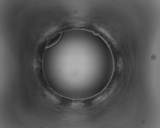 X0000096701447200802051359