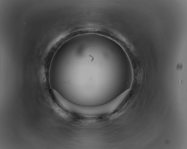 X0000096701448200802051359