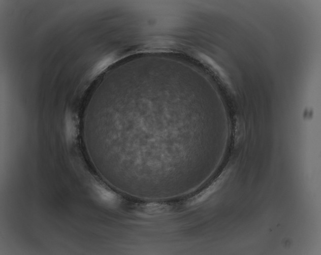X0000096701449200802051359