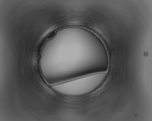 X0000096701450200802051359
