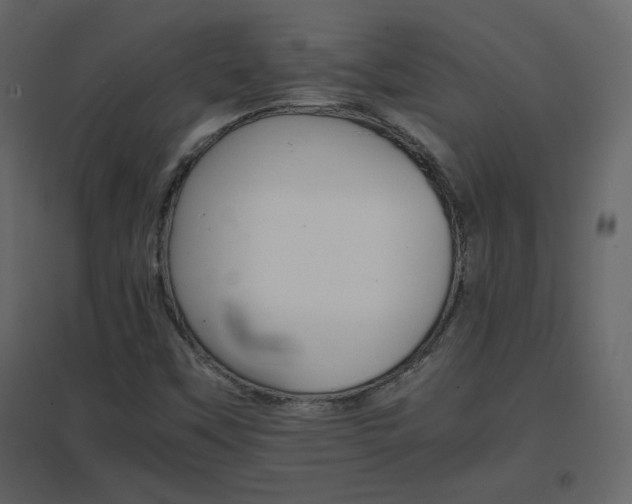 X0000096701451200802051359