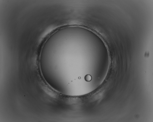 X0000096701454200802051359