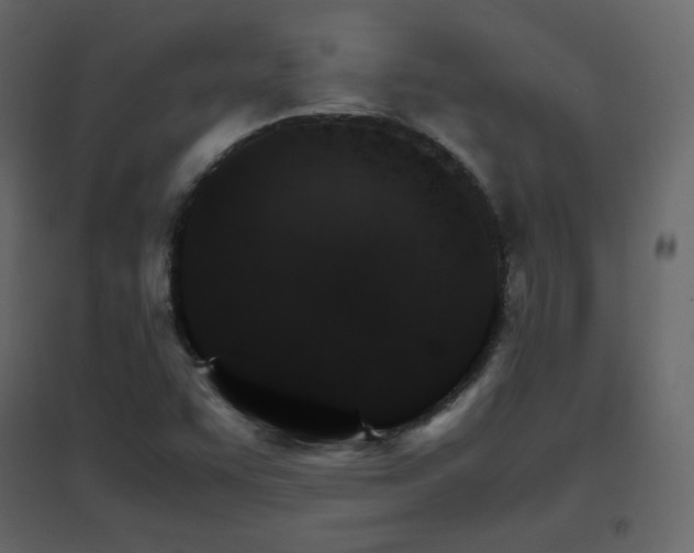 X0000096701455200802051359