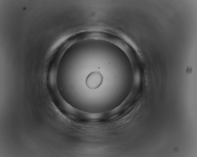 X0000096701456200802051359