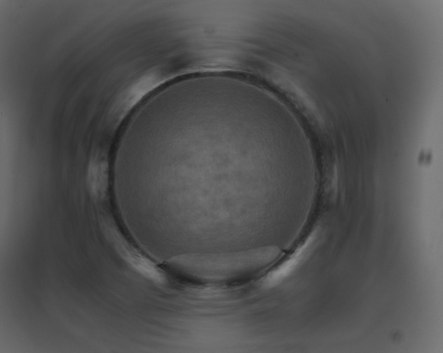X0000096701457200802051359
