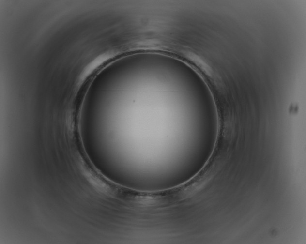 X0000096701458200802051359