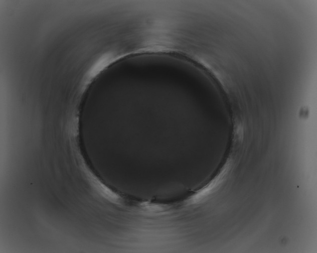 X0000096701459200802051359