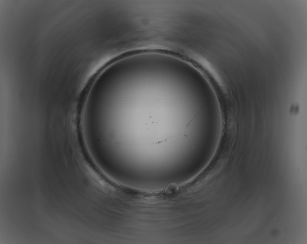 X0000096701460200802051359