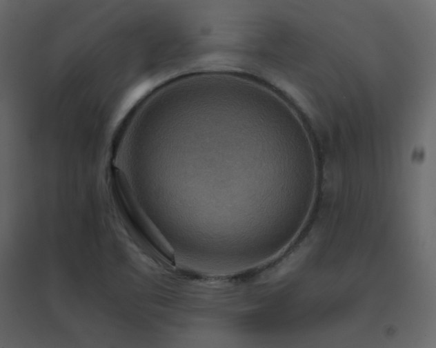 X0000096701461200802051359