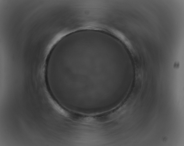 X0000096701463200802051359