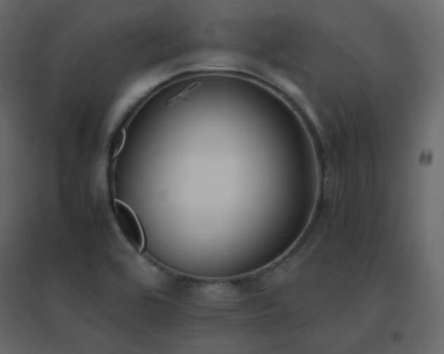 X0000096701464200802051359