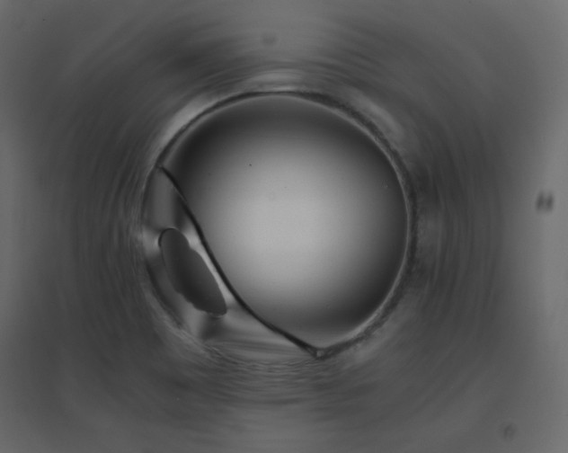 X0000096701465200802051359