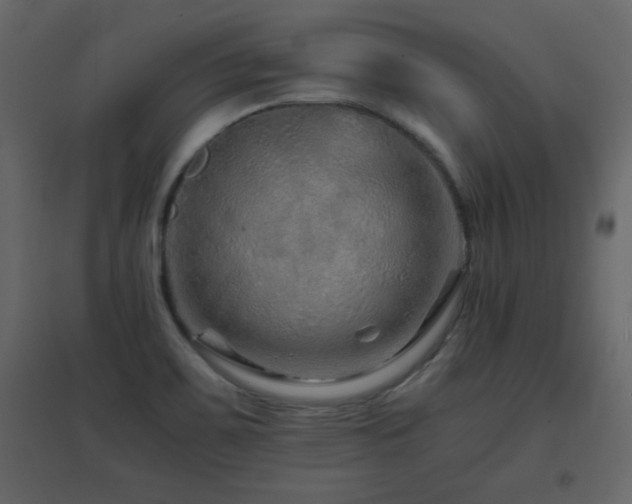 X0000096701467200802051359