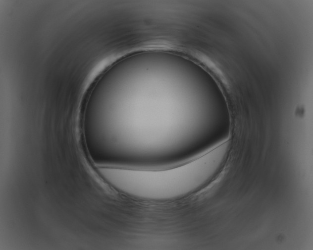 X0000096701469200802051359
