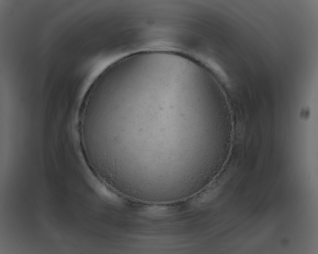 X0000096701470200802051359