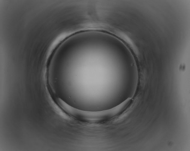 X0000096701472200802051359