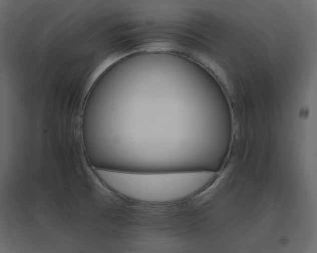 X0000096701473200802051359