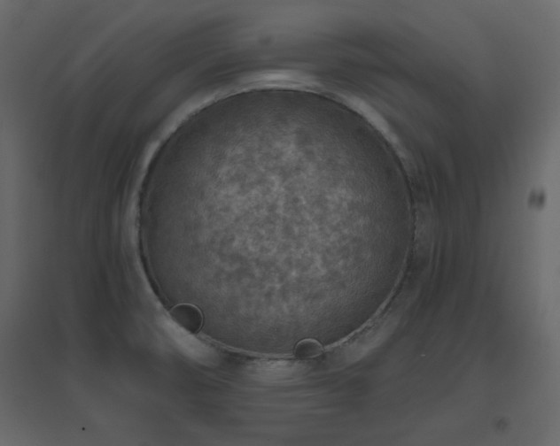 X0000096701474200802051359