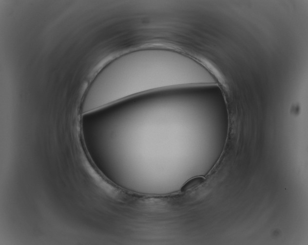 X0000096701476200802051359