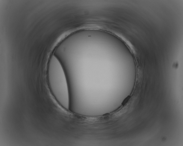 X0000096701477200802051359