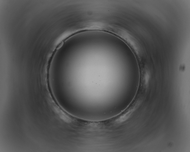 X0000096701480200802051359