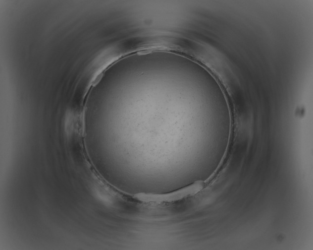 X0000096701481200802051359