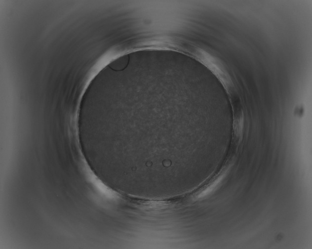 X0000096701482200802051359