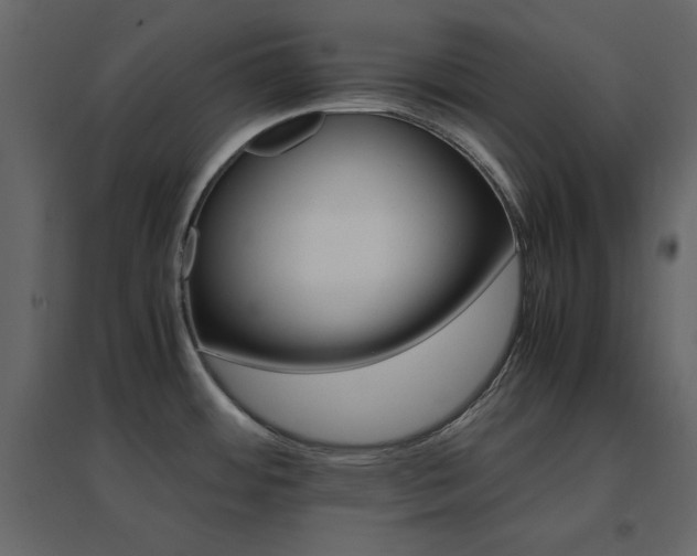 X0000096701484200802051359