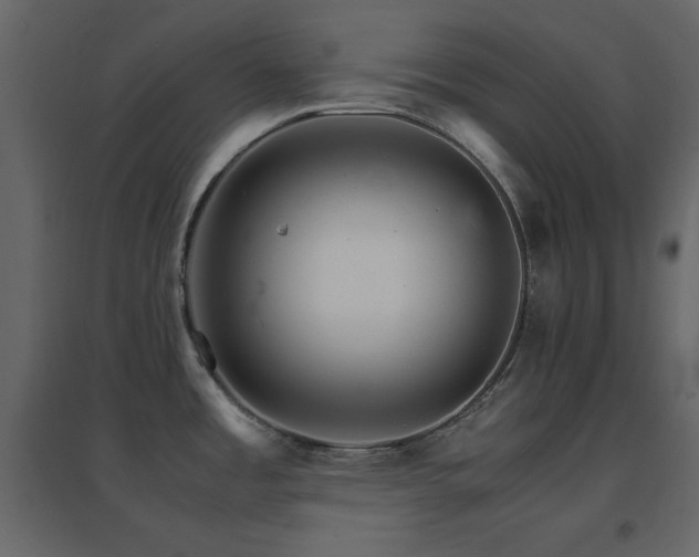 X0000096701485200802051359