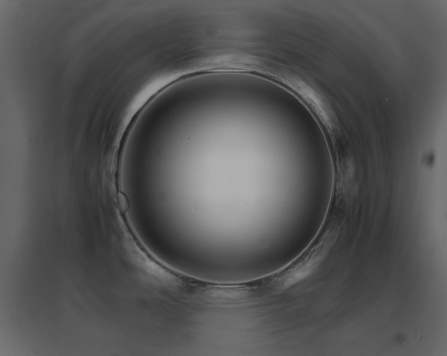 X0000096701486200802051359