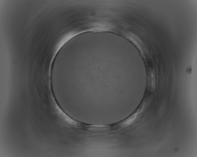 X0000096701487200802051359