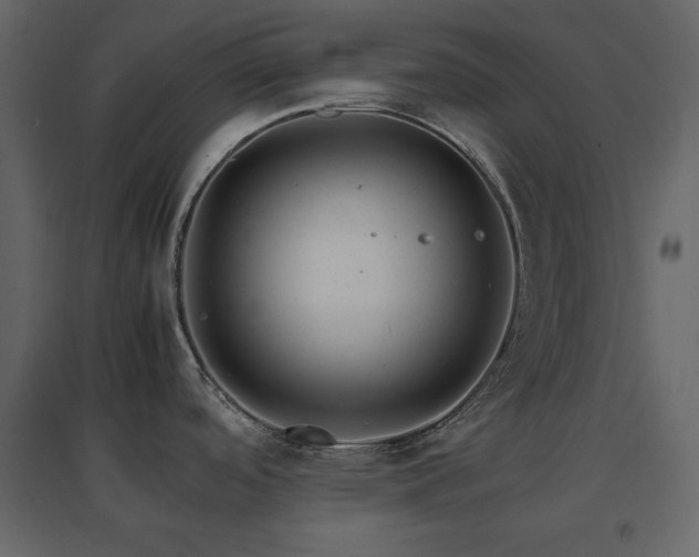 X0000096701488200802051359