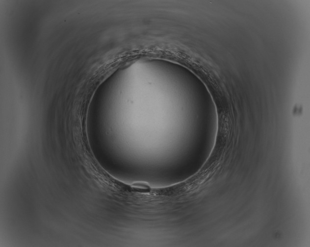 X0000096701489200802051358