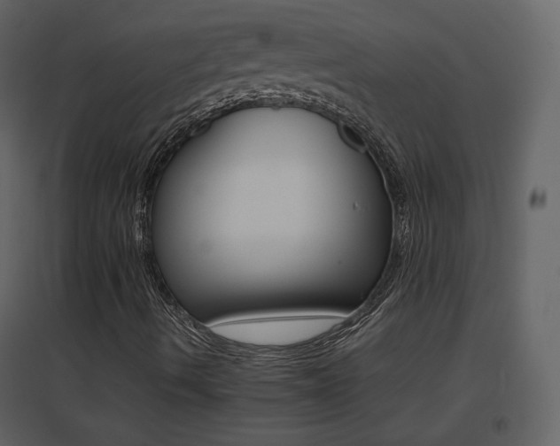 X0000096701490200802051358