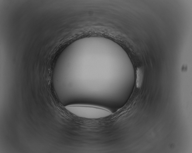 X0000096701491200802051358