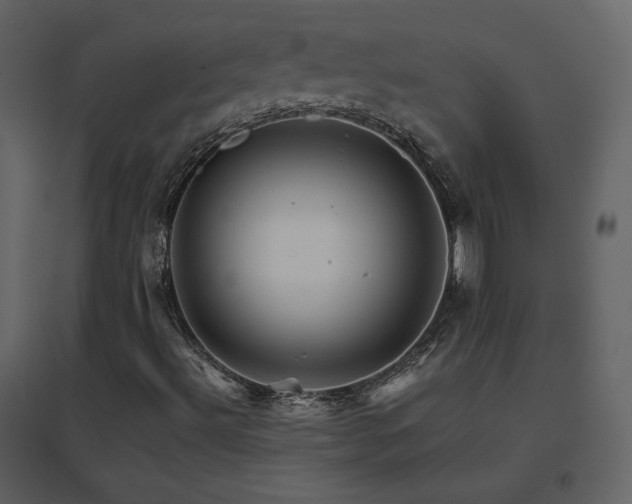X0000096701492200802051358